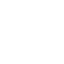 Icon Login